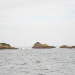 Drei flache, mit ockerfarbenen Algen bedeckte Felsen ragen aus einem grauen, aufgewühlten Meer, etwas Gischt ringsum, unter weißem, bedecktem Himmel