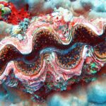 Eine Riesenmuschel mit gewelltem rosa, braunem und blauem Mantel, orange gepunktet, eingebettet in eine massive graublaue Koralle, mit einem roten Schwamm und grünen Seescheiden