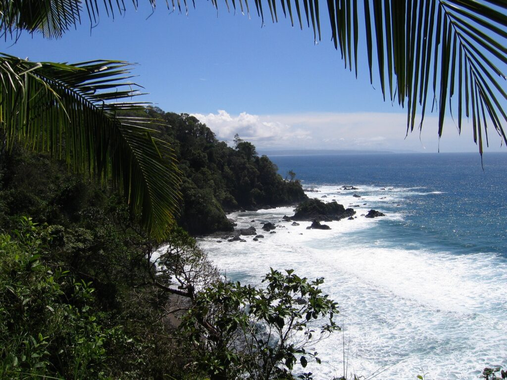 Die felsige, bewaldete Küste der Isla del Caño durch Kokospalmwedel gesehen, weiße Gischt an den Felsen und blauer Ozean bis zum Horizont
