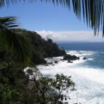 Die felsige, bewaldete Küste der Isla del Caño durch Kokospalmwedel gesehen, weiße Gischt an den Felsen und blauer Ozean bis zum Horizont
