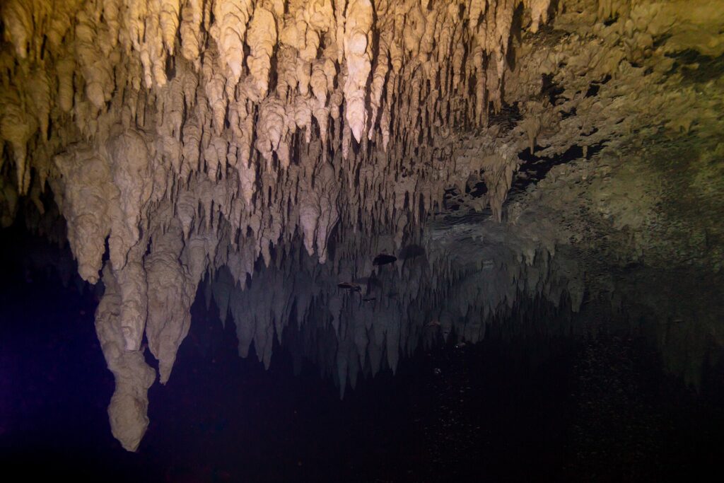 Eine Decke aus beigen Stalaktiten, mit der Lampe beleuchtet, die sich in einer schwarzen Wasseroberfläche spiegelt, in der Cenote The Pit