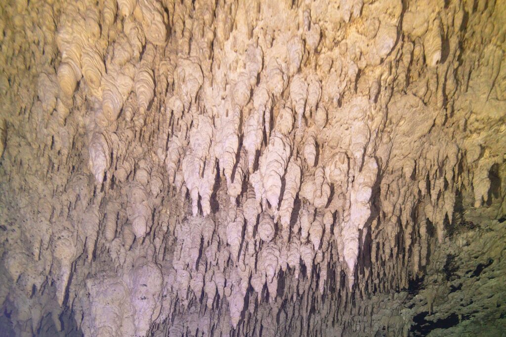 Eine Kalksteinwand voller Hunderter kleiner weißer und gelber Stalaktiten, in Nahaufnahme