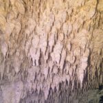 Eine Kalksteinwand voller Hunderter kleiner weißer und gelber Stalaktiten, in Nahaufnahme