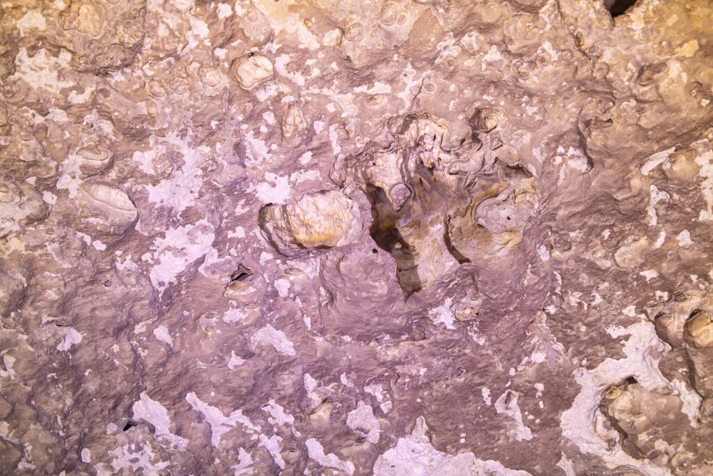 Nahaufnahme des rosa und weißen Gesteins an der Wand der Cenote, mit Vertiefungen, eingeschlossenen Luftblasen und Tropfsteinen