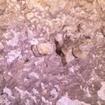 Nahaufnahme des rosa und weißen Gesteins an der Wand der Cenote, mit Vertiefungen, eingeschlossenen Luftblasen und Tropfsteinen
