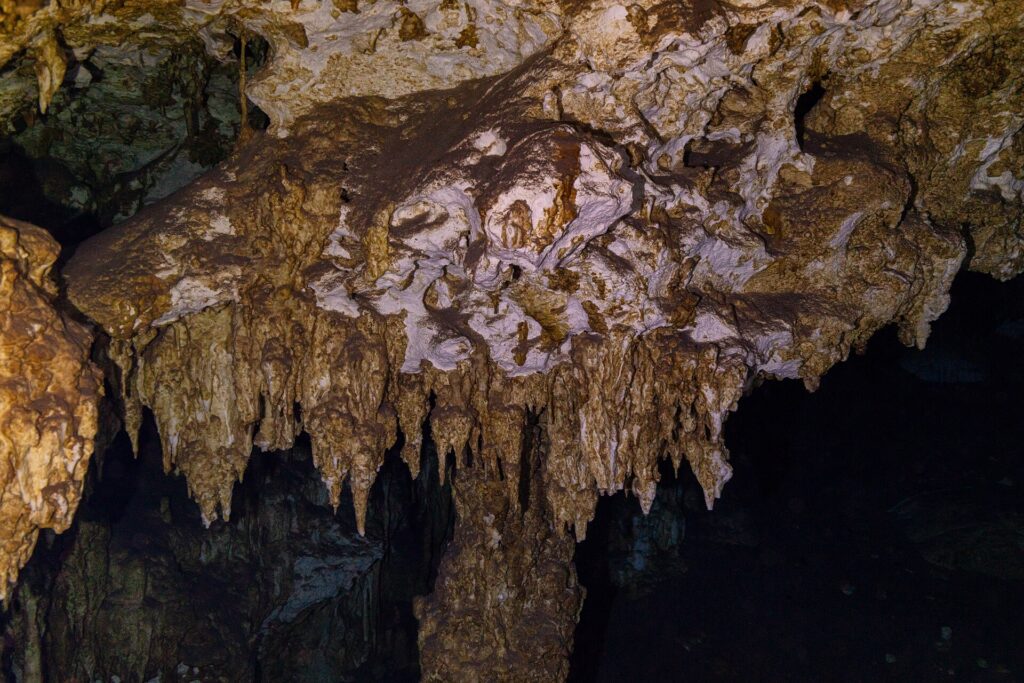 Eine braun-weiße Kalksteindecke voller kurzer Stalaktiten, mit der Lampe beleuchtet, in der Höhle von Dos Ojos