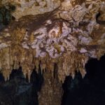 Eine braun-weiße Kalksteindecke voller kurzer Stalaktiten, mit der Lampe beleuchtet, in der Höhle von Dos Ojos