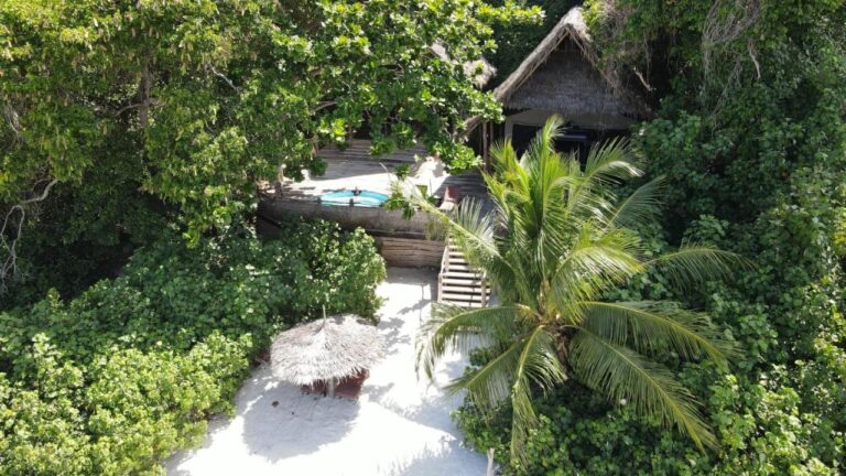 Luftaufnahme eines Bungalows mit Strohdach, seiner Terrasse mit Becken und der Treppe zum Sand
