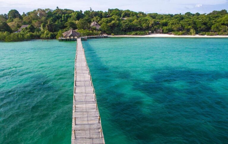 Der lange Holzsteg der Fundu Lagoon über türkisfarbenem Wasser, vor der bewaldeten Küste