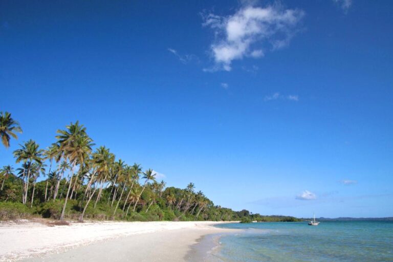 Ein weißer Sandstrand mit Kokospalmen, in der Ferne ein Segelboot