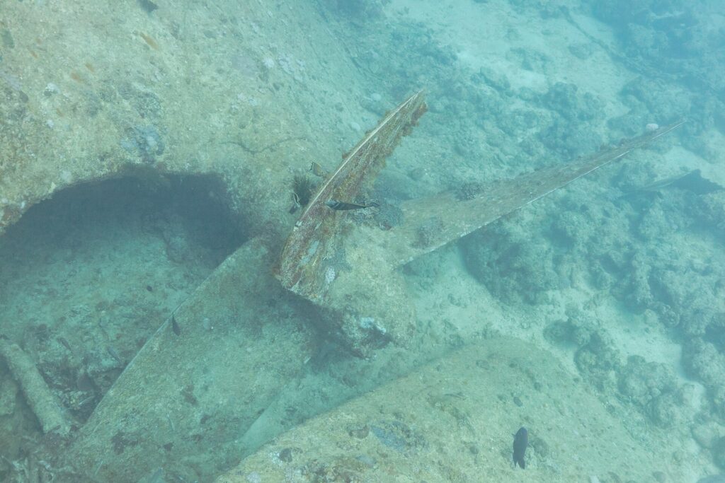 Ein mit Bewuchs bedecktes Blatt der Schraube der Thistlegorm, auf dem Sand neben dem Rumpf