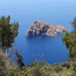 Blick von den Höhen von Port-Cros zwischen Kiefern und Sträuchern hinunter auf die steile Felsinsel Gabinière im tiefblauen Meer, ein kleines weißes Boot ankert an ihrem Fuß.