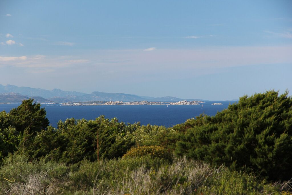 Blick von der Macchia der Küste auf eine lange, flache Insel aus hellen Granitblöcken im dunkelblauen Meer, ein Segelboot an ihrem Fuß und bläuliche Berge am Horizont.