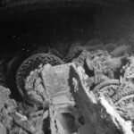 Gestapelte Motorräder im Laderaum der Thistlegorm, Schwarz-Weiß-Foto, Reifen und Räder noch sichtbar