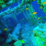 Die Aufbauten der Numidia, mit Weichkorallen bewachsen, ringsum orangefarbene Fahnenbarsche, im Vordergrund ein Imperator-Kaiserfisch, in blaugrünem Wasser
