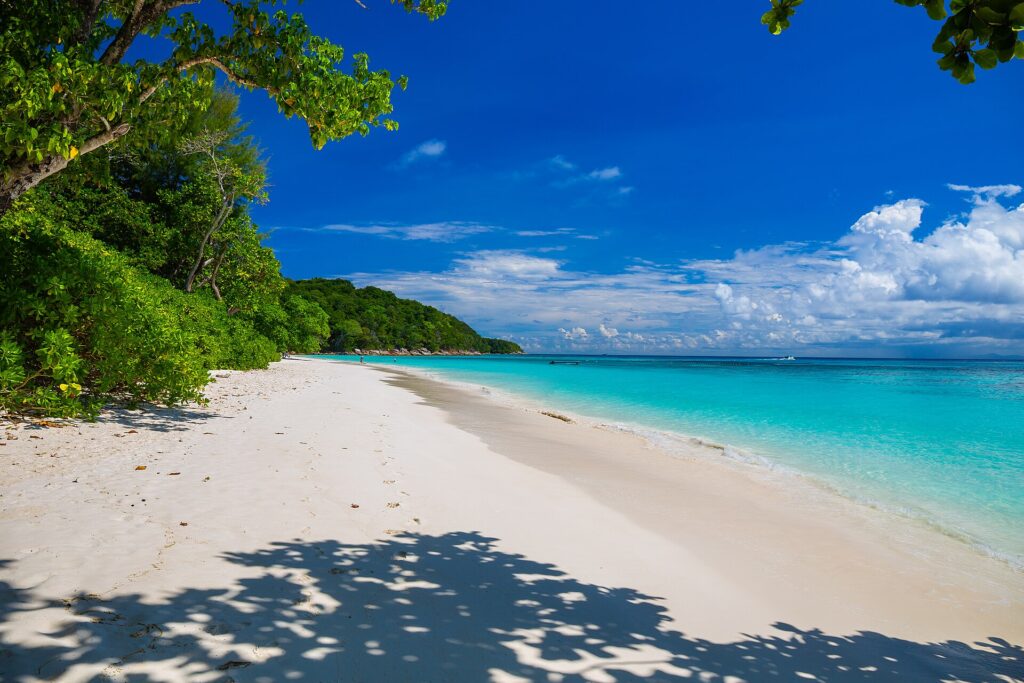 Der weiße Sandstrand von Koh Tachai, von Bäumen gesäumt, unter blauem Himmel, rechts türkises Wasser und draußen eine Reihe Bojen