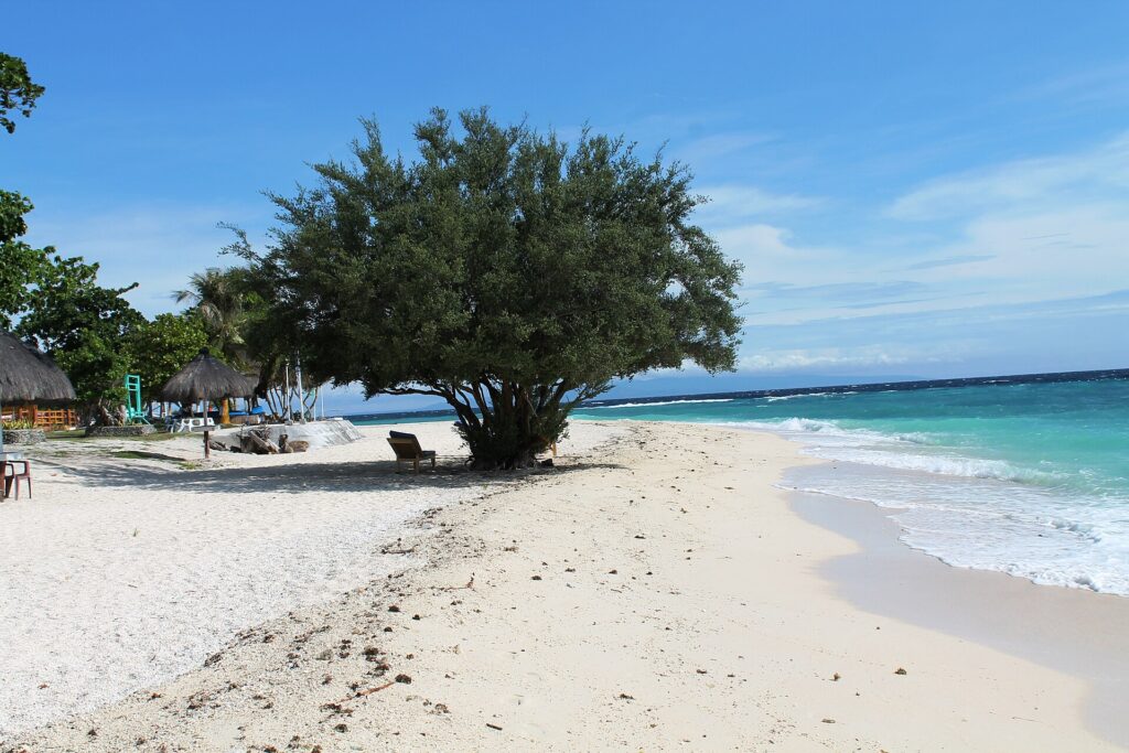 Ein weißer Sandstrand, auf dem ein großer, dicht belaubter Baum eine Liege beschattet, links Hütten mit Strohdach, rechts das türkisfarbene Meer mit sanften Wellen, unter blauem Himmel.