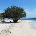 Ein weißer Sandstrand, auf dem ein großer, dicht belaubter Baum eine Liege beschattet, links Hütten mit Strohdach, rechts das türkisfarbene Meer mit sanften Wellen, unter blauem Himmel.