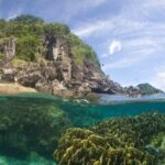 Halb über, halb unter Wasser: unter der Oberfläche ein großer gelbgrüner Blattkorallenstock in klarem türkisfarbenem Wasser, darüber eine bewachsene Küste aus dunklen Felsen unter leicht verschleiertem blauem Himmel.