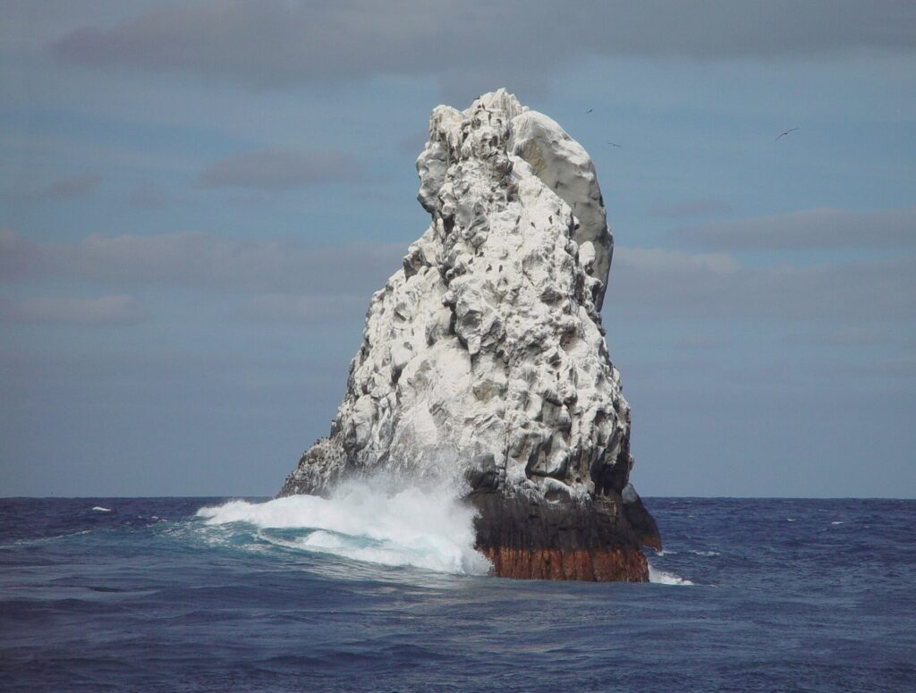 Die Nordwestspitze der Roca Partida, weiß vom Guano, vom Boot aus gesehen, eine Welle bricht an ihrem Fuß, darüber fliegende Vögel