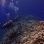 Zwei Taucher folgen der Außenwand des Blue Hole, bewachsen mit Hartkorallen und Fahnenbarschen, links das tiefe Blau