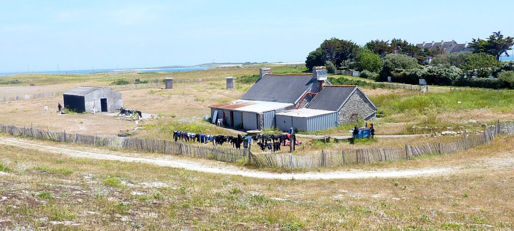 Ein langes Steinhaus mit Schieferdächern und angebauten Blechschuppen, davor trocknet eine lange Reihe Tauchanzüge an einem Kastanienholzzaun, mitten in kurzer Heide, in der Ferne das Meer und ein Leuchtturm.