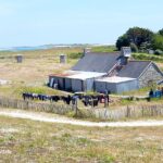 Ein langes Steinhaus mit Schieferdächern und angebauten Blechschuppen, davor trocknet eine lange Reihe Tauchanzüge an einem Kastanienholzzaun, mitten in kurzer Heide, in der Ferne das Meer und ein Leuchtturm.