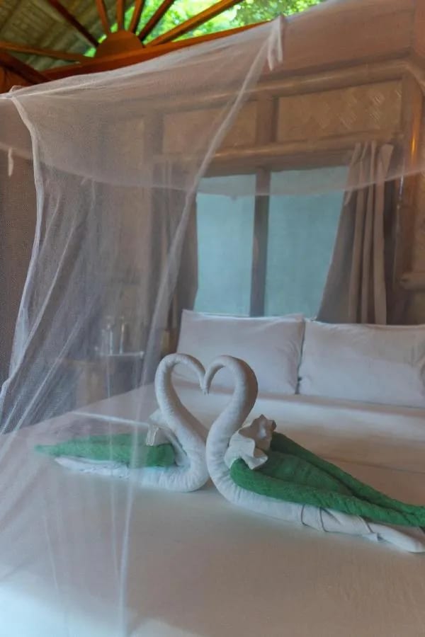 Zwei Handtuchschwäne auf einem Bett unter Moskitonetz