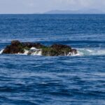 Der Gipfel des Richelieu Rock ragt bei Ebbe heraus, ein dunkler, mit grünen Algen bedeckter Felsen in der Brandung, die Surin-Inseln am Horizont