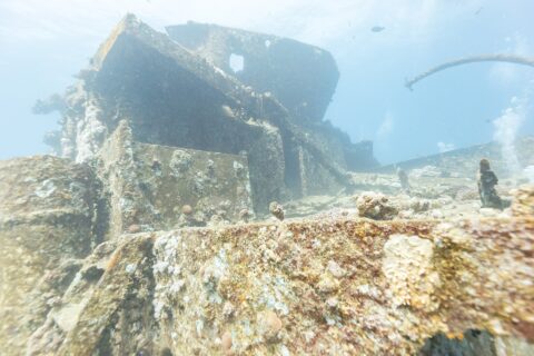 Die Aufbauten am Vorschiff der Thistlegorm, mit Hartkorallen bewachsen, vom Deck aus gesehen