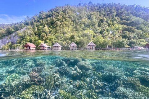 Das Korallenriff unter der Wasseroberfläche und die Stelzenbungalows des Terimakasih Homestays am Fuß eines bewaldeten Hügels