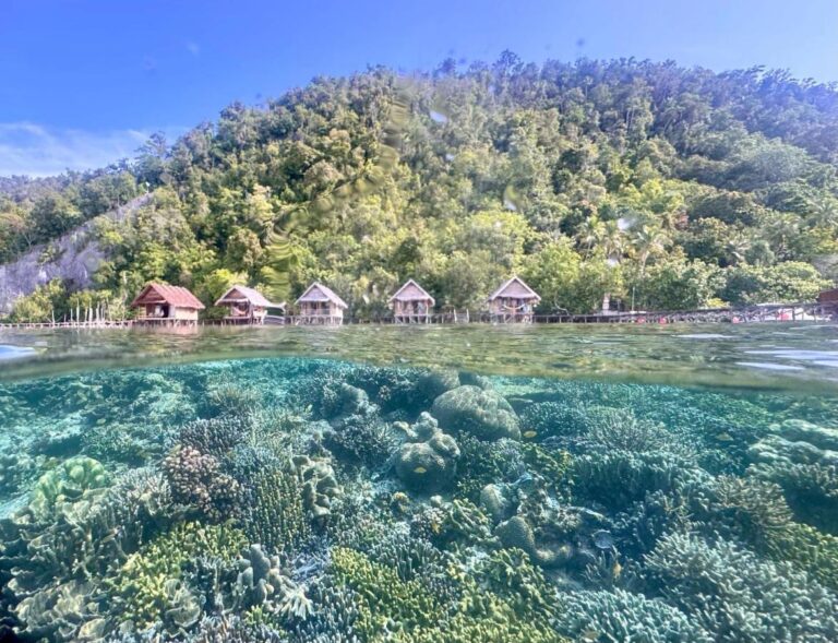 Das Korallenriff unter der Wasseroberfläche und die Stelzenbungalows des Terimakasih Homestays am Fuß eines bewaldeten Hügels