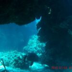 Eine Schildkröte liegt auf dem Sand unter einem Korallenüberhang am Palancar Reef, im Vordergrund Gorgonien, dahinter das Blau