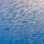 Ein dichter Schwarm silberner Schnepfenfische, kleine Fische mit langer Röhrenschnauze, füllt diagonal das ganze Bild, von der Sonne oben rechts beleuchtet, in blauem Wasser