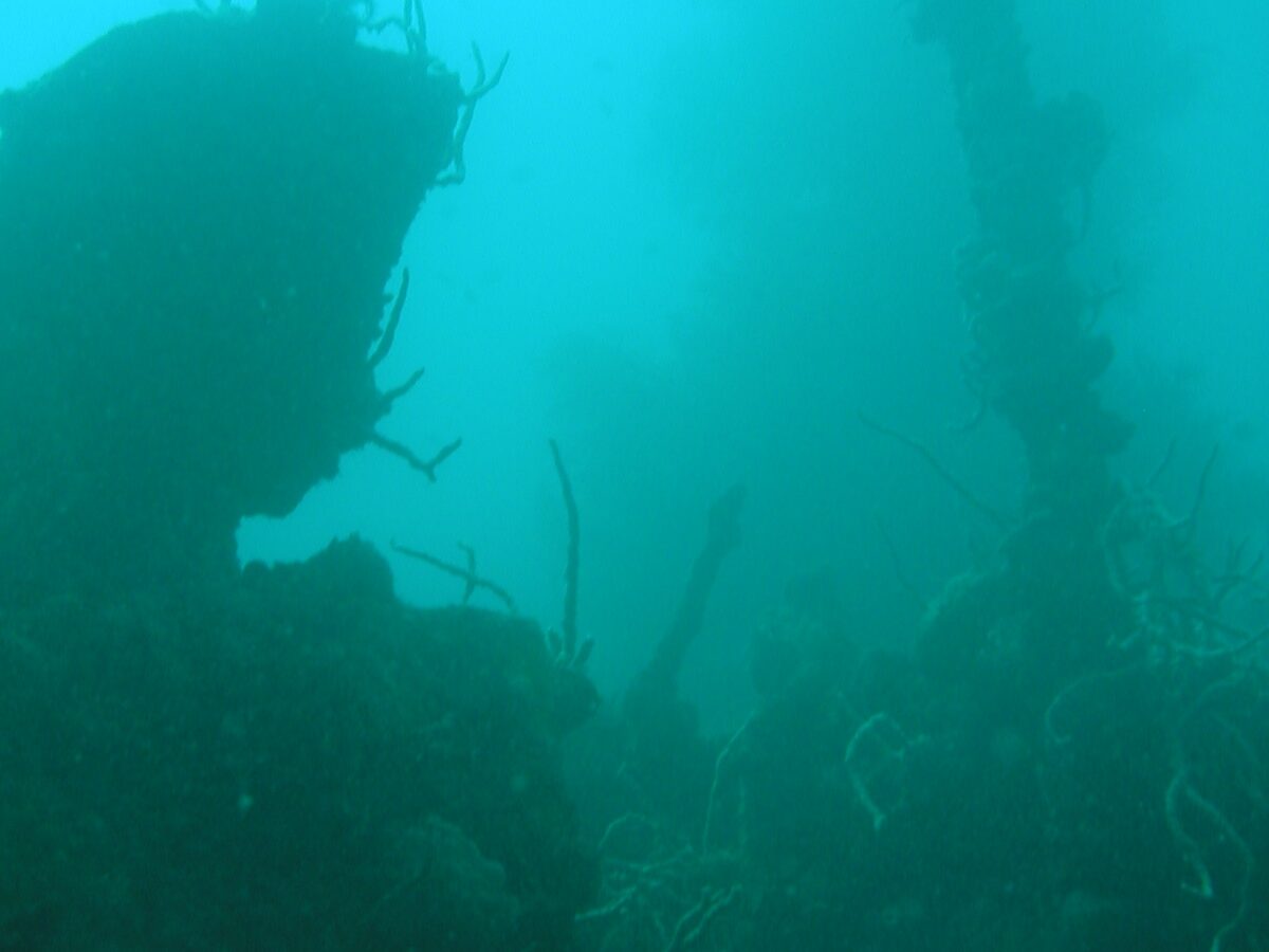 In trübem, türkisgrünem Wasser die dunkle Silhouette eines Wracks, rechts ragt ein mit Peitschenkorallen bewachsener Mast über verkrusteten Aufbauten auf.