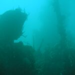In trübem, türkisgrünem Wasser die dunkle Silhouette eines Wracks, rechts ragt ein mit Peitschenkorallen bewachsener Mast über verkrusteten Aufbauten auf.