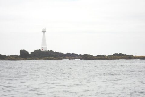 Ein schlanker weißer Leuchtturm mit roter Tür steht auf der flachen, felsigen Insel Formigão, dunkle Felsen mit braunem Algensaum, über einem grauen, aufgewühlten Meer unter bedecktem Himmel