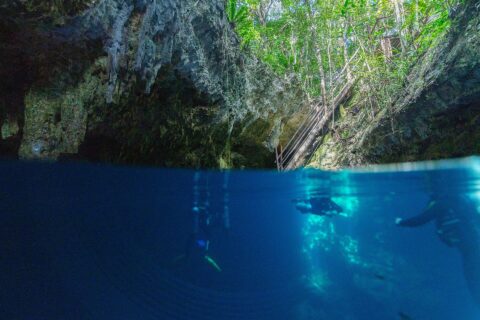 Halb über, halb unter Wasser am Eingang der Cenote The Pit: oben das Kalksteingewölbe, die Holztreppe und der Dschungel, unten zwei Taucher im tiefblauen Wasser